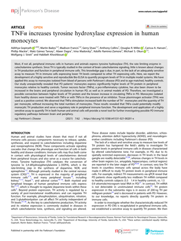 Tnfα Increases Tyrosine Hydroxylase Expression in Human Monocytes