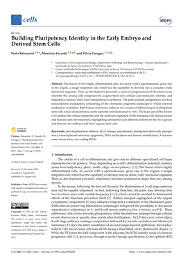 Building Pluripotency Identity in the Early Embryo and Derived Stem Cells