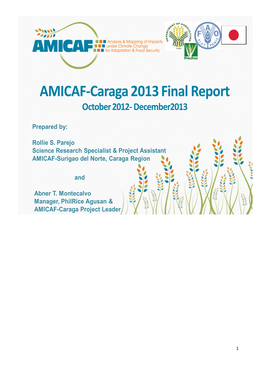 AMICAF-Caraga 2013 Final Report October 2012- December2013