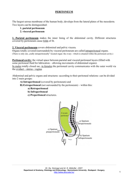 PERITONEUM the Largest Serous Membrane of the Human Body