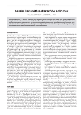 Species Limits Within Rhopophilus Pekinensis