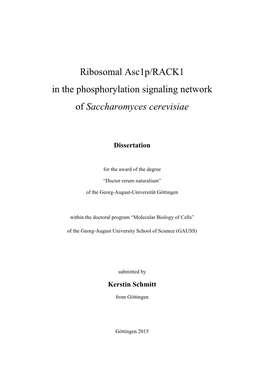 Ribosomal Asc1p/RACK1 in the Phosphorylation Signaling Network of Saccharomyces Cerevisiae