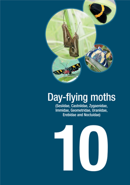 10. Day-Flying Moths