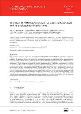 The Head of Heterogyrus Milloti (Coleoptera: Gyrinidae) and Its Phylogenetic Implications