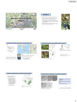 Subgenome Analyses of Tetraploid Blueberry