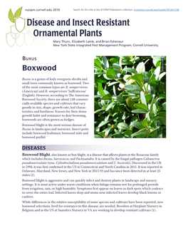 Disease and Insect Resistant Ornamental Plants: Buxus (Boxwood)