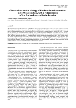 Observations on the Biology of Parthenolecanium Rufulum in Northeastern Italy, with a Redescription of the First and Second Instar Females