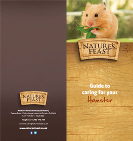 Guide to Caring for Your Hamster