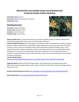 Balsamorhiza Macrophylla (Large-Leaved Balsamroot) Predicted Suitable Habitat Modeling