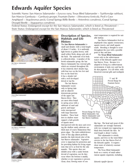 Edwards Aquifer Species