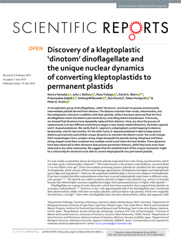 Discovery of a Kleptoplastic 'Dinotom' Dinoflagellate and the Unique