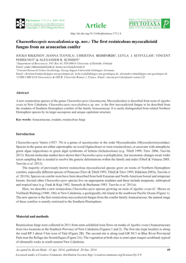 Chaenothecopsis Neocaledonica Sp. Nov.: the First Resinicolous Mycocalicioid Fungus from an Araucarian Conifer