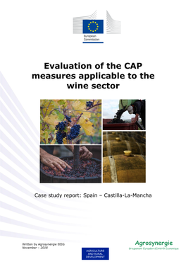 Evaluation of the CAP Measures Applicable to the Wine Sector