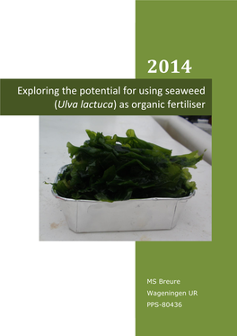 Exploring the Potential for Using Seaweed (Ulva Lactuca) As Organic Fertiliser