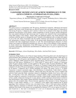 Taxonomic Significance of Achene Morphology in the Genus Cyperus L