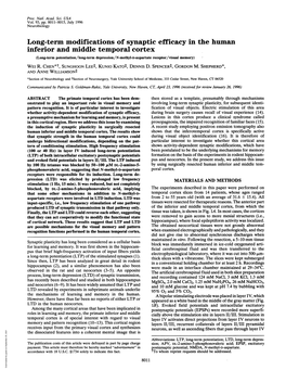 Long-Term Modifications of Synaptic Efficacy in the Human Inferior and Middle Temporal Cortex