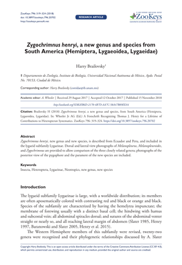 Zygochrimnus Henryi, a New Genus and Species from South America (Hemiptera, Lygaeoidea, Lygaeidae)