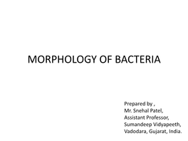 Morphology of Bacteria