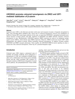 LINC00265 Promotes Colorectal Tumorigenesis Via ZMIZ2 and USP7-Mediated Stabilization of Î²-Catenin