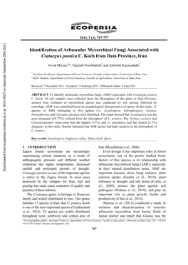 Identification of Arbuscular Mycorrhizal Fungi Associated with Crataegus Pontica C. Koch from Ilam Province, Iran