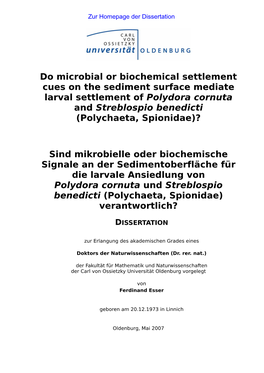 Do Microbial Or Biochemical Settlement Cues on the Sediment Surface Mediate Larval Settlement of Polydora Cornuta and Streblospio Benedicti (Polychaeta, Spionidae)?