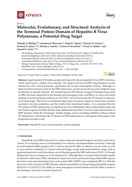 Molecular, Evolutionary, and Structural Analysis of the Terminal Protein Domain of Hepatitis B Virus Polymerase, a Potential Drug Target