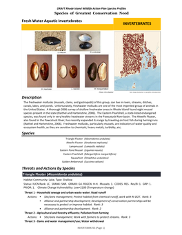 Fresh Water Aquatic Invertebrates INVERTEBRATES Description