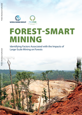 Forest-Smart Mining: Large-Scale Mining on Forests (LSM), World Bank, 2019