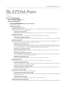 The Etyfish Project © Christopher Scharpf and Kenneth J