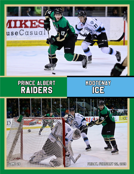 Prince Albert Raiders