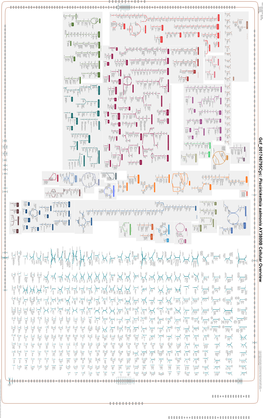 Generated by SRI International Pathway Tools Version 25.0 on Sat Jun 12, 2021