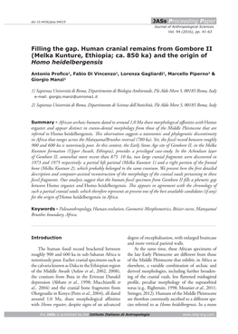 Melka Kunture, Ethiopia; Ca. 850 Ka) and the Origin of Homo Heidelbergensis