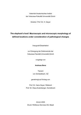 The Elephant's Hoof: Macroscopic and Microscopic Morphology of Defined