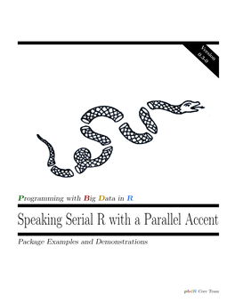 Speaking Serial R with a Parallel Accent