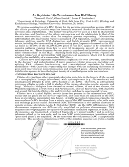 An Oxytricha Trifallax Micronuclear BAC Library Thomas G