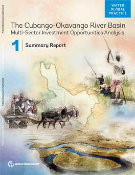 The Cubango-Okavango River Basin Multi-Sector Investment Opportunities Analysis