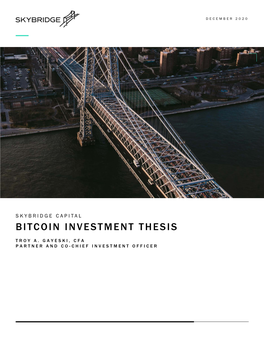 Bitcoin Investment Thesis