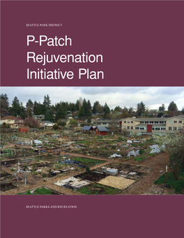 P&gt;Patch Rejuvenation Initiative Plan