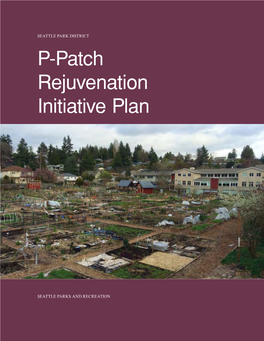 P>Patch Rejuvenation Initiative Plan