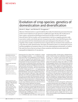 Evolution of Crop Species: Genetics of Domestication and Diversification