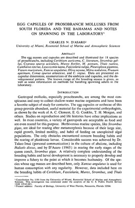 Egg Capsules of Prosobranch Mollusks from South Florida and the Bahamas and Notes on Spawning in the Laboratory]