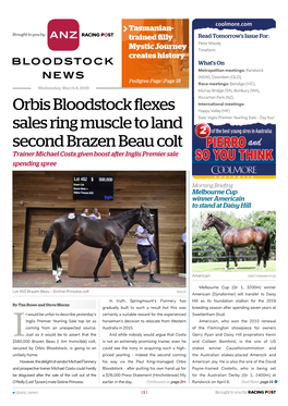 Orbis Bloodstock Flexes Sales Ring Muscle to Land Second Brazen