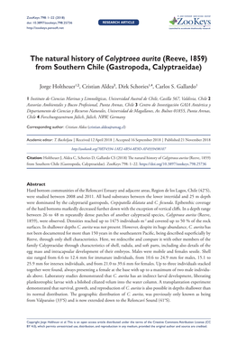 The Natural History of Calyptraea Aurita (Reeve, 1859) from Southern Chile (Gastropoda, Calyptraeidae)