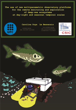 The Use of New Multiparametric Observatory Platforms for the Remote Monitoring and Exploration of Deep-Sea Ecosystems at Day-Night and Seasonal Temporal Scales