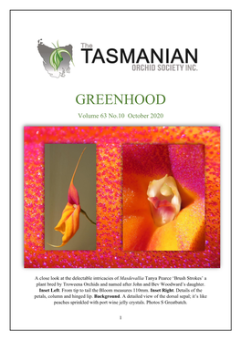 October 2020 – the Greenhood