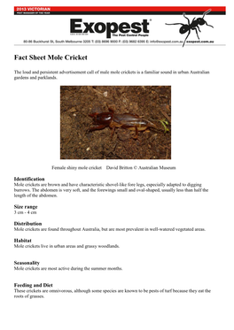 Fact Sheet Mole Cricket