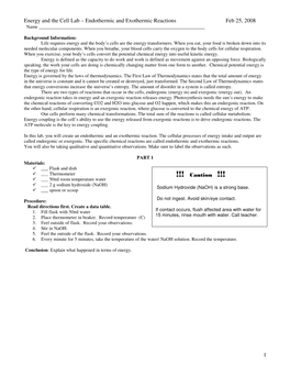 Endothermic and Exothermic Reactions Feb 25, 2008 1 !!! Caution