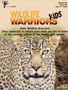 Hello Wildlife Warriors! Stay Connected to Nature Even When You Are at Home in This Seventh Edition of the Weekly Wild Update