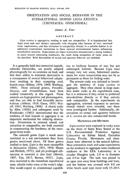 Orientation and Social Behavior in the Supralittoral Isopod <I>Ligia