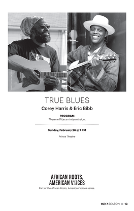 True Blues Corey Harris & Eric Bibb